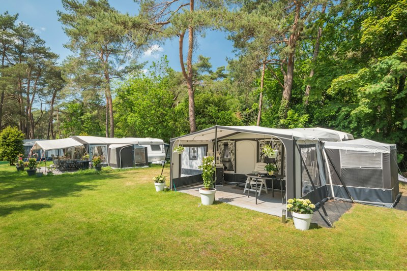 Bos Park Bilthoven (foto 1, bron: ANWB Camping)
