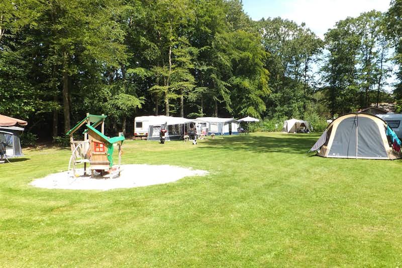 Boscamping Appelscha  -  Wohnwagen- und Zeltstellplatz vom Campingplatz auf grüner Wiese
