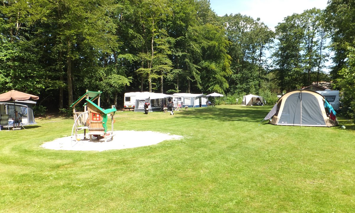 Campingwiese mit mehreren Zelten und Wohnwagen, im Hintergrund Bäume und ein Wohnmobil auf dem Stellplatz.