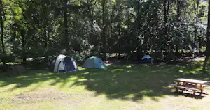 Zwei Zelte auf einer grünen Wiese im Wald, daneben ein Holztisch und Sitzbank.
