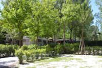 Bosco Verde - Wohnmobilstellplatz im Schatten der Bäume auf dem Campingplatz