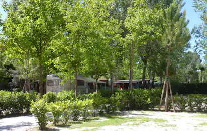 Camping Bosco Verde