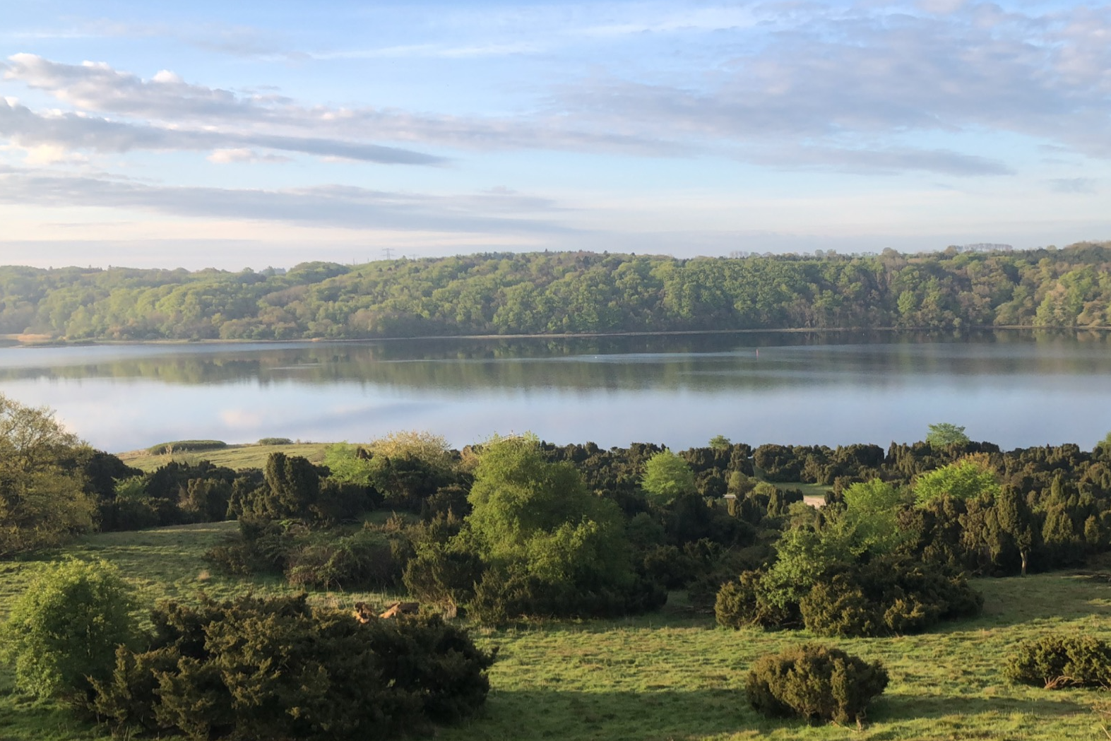 Bramslev Bakker Camping - Luftaufnahme des Sees umgeben von Wald
