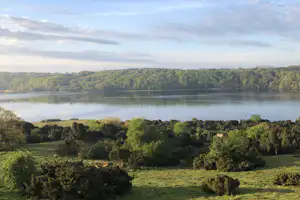 Bramslev Bakker Camping - Luftaufnahme des Sees umgeben von Wald