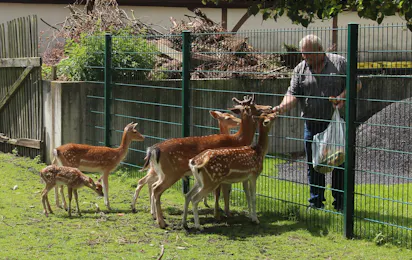 Camping- & Wochenendplatz Brinkmanns Hof