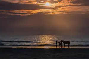 Børsmose Strand Camping - Blick auf den Strand bei Sonnenuntergang