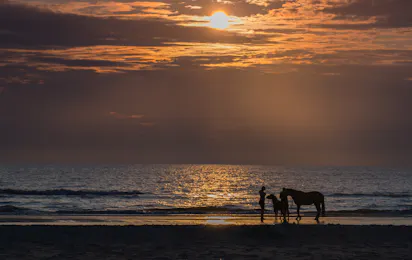 Børsmose Strand Camping