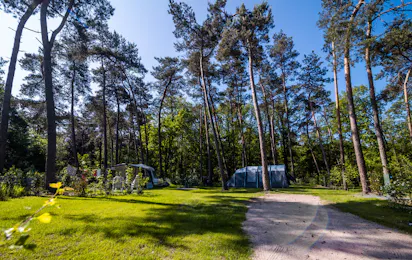 Buitencentrum Hessenheem