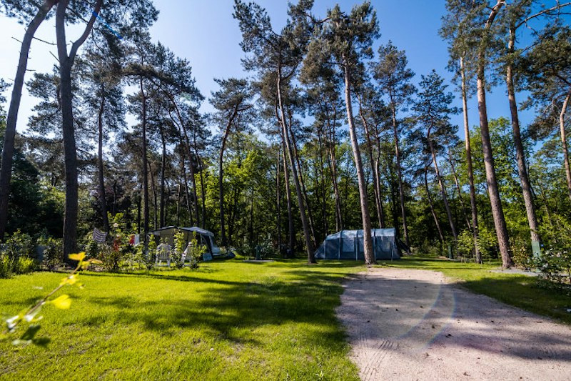 Buitencentrum Hessenheem (foto 1, bron: ANWB Camping)
