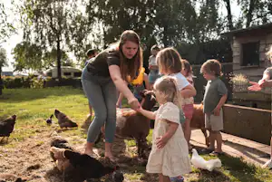 Buitengoed de Boomgaard - Kinder kümmern sich um die Tiere auf dem Campingplatz