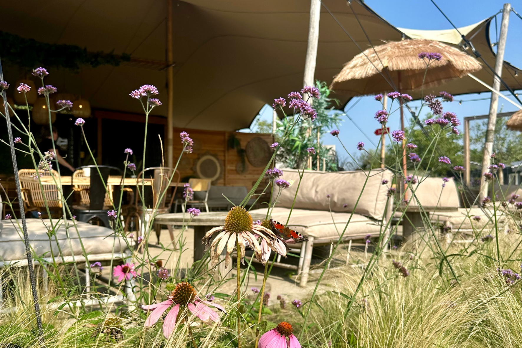 Buitengoed de Boomgaard - Terrasse der Snackbar auf dem Campingplatz