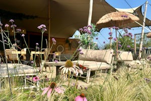 Buitengoed de Boomgaard - Terrasse der Snackbar auf dem Campingplatz