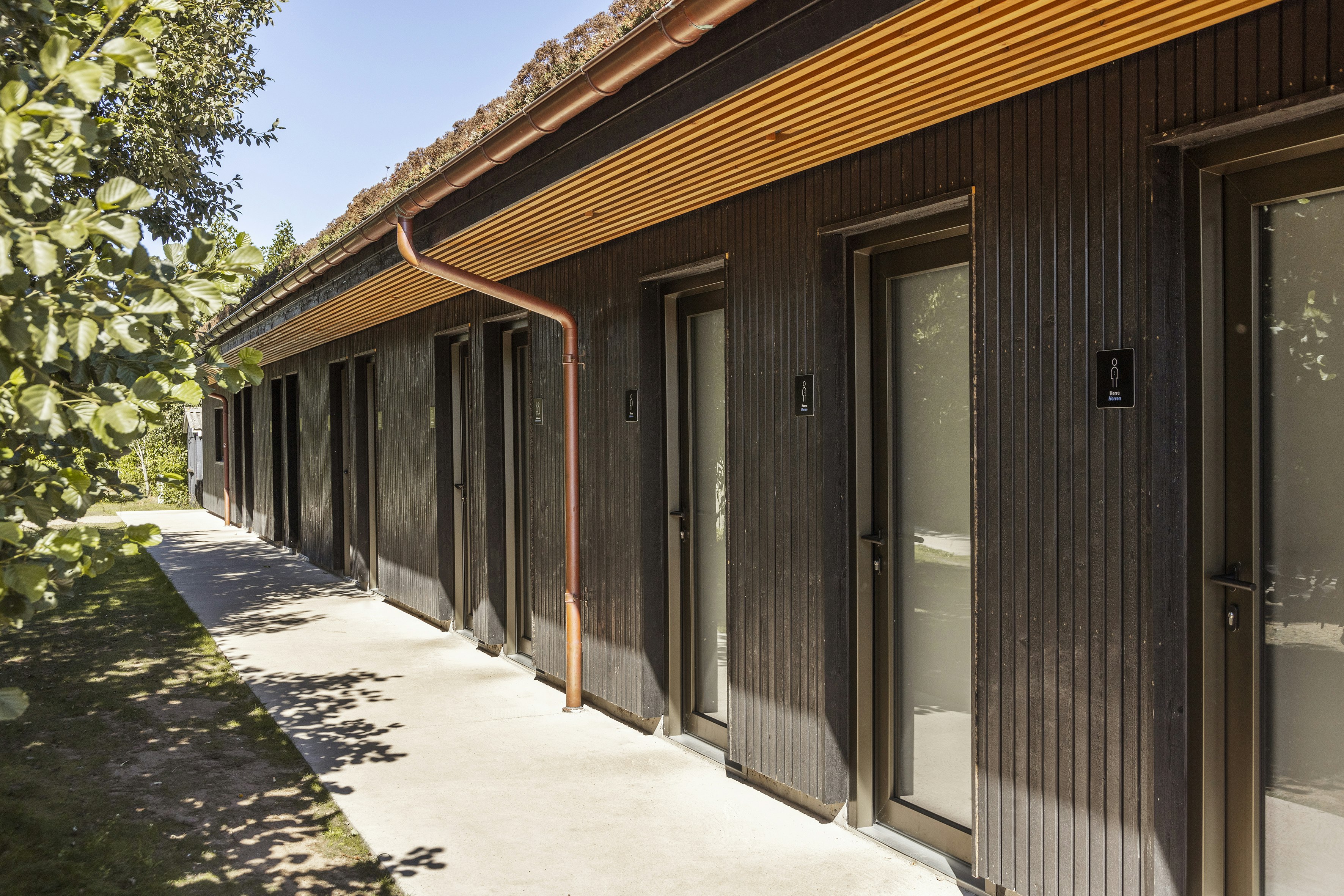 Skagen Sydstrand Camping - Bunken