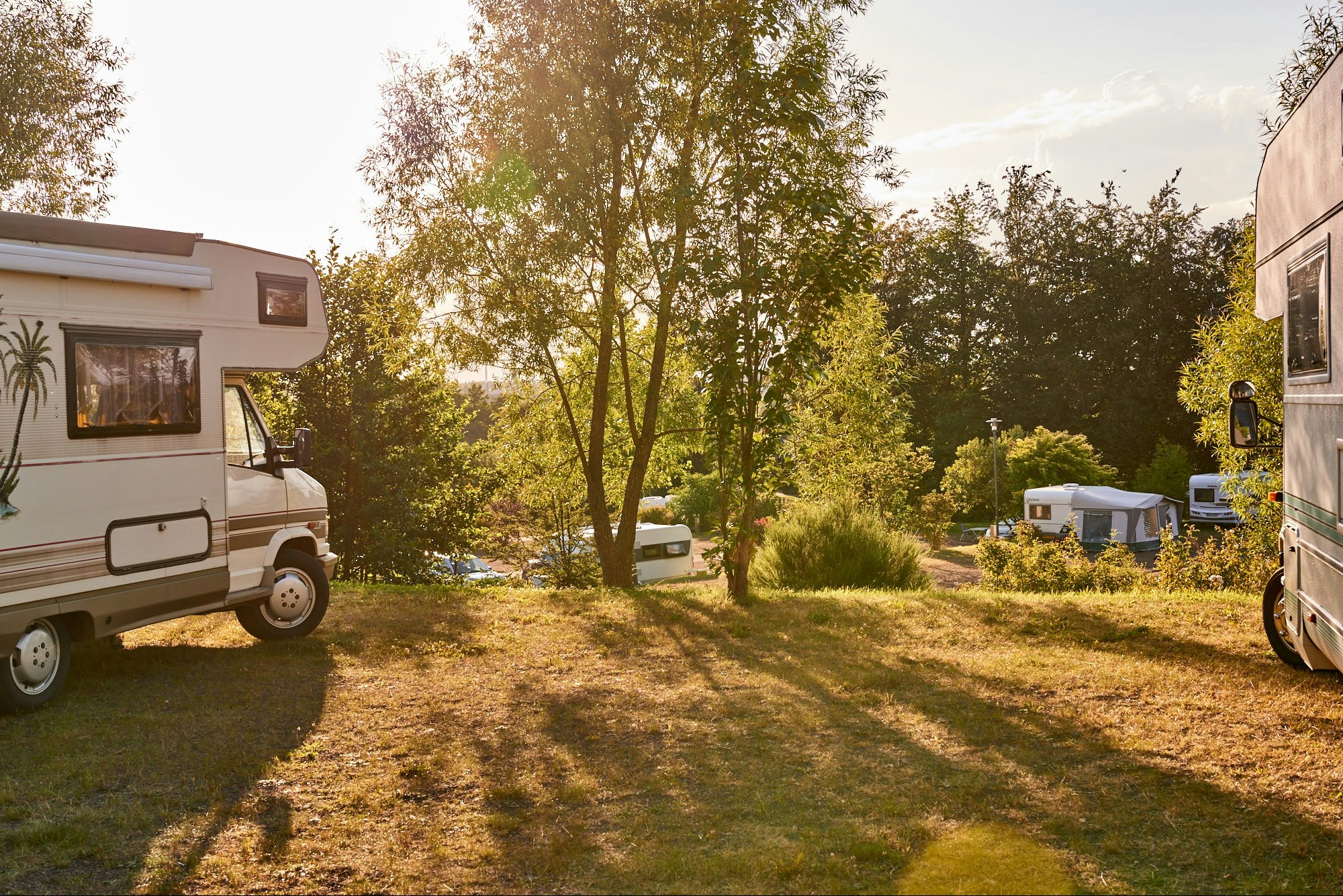BurgStadt Camping - Blick auf die Standplätze auf der Wiese
