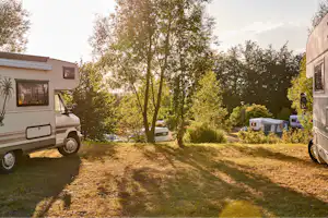 BurgStadt Camping - Blick auf die Standplätze auf der Wiese