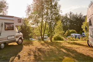 BurgStadt Camping - Blick auf die Standplätze auf der Wiese