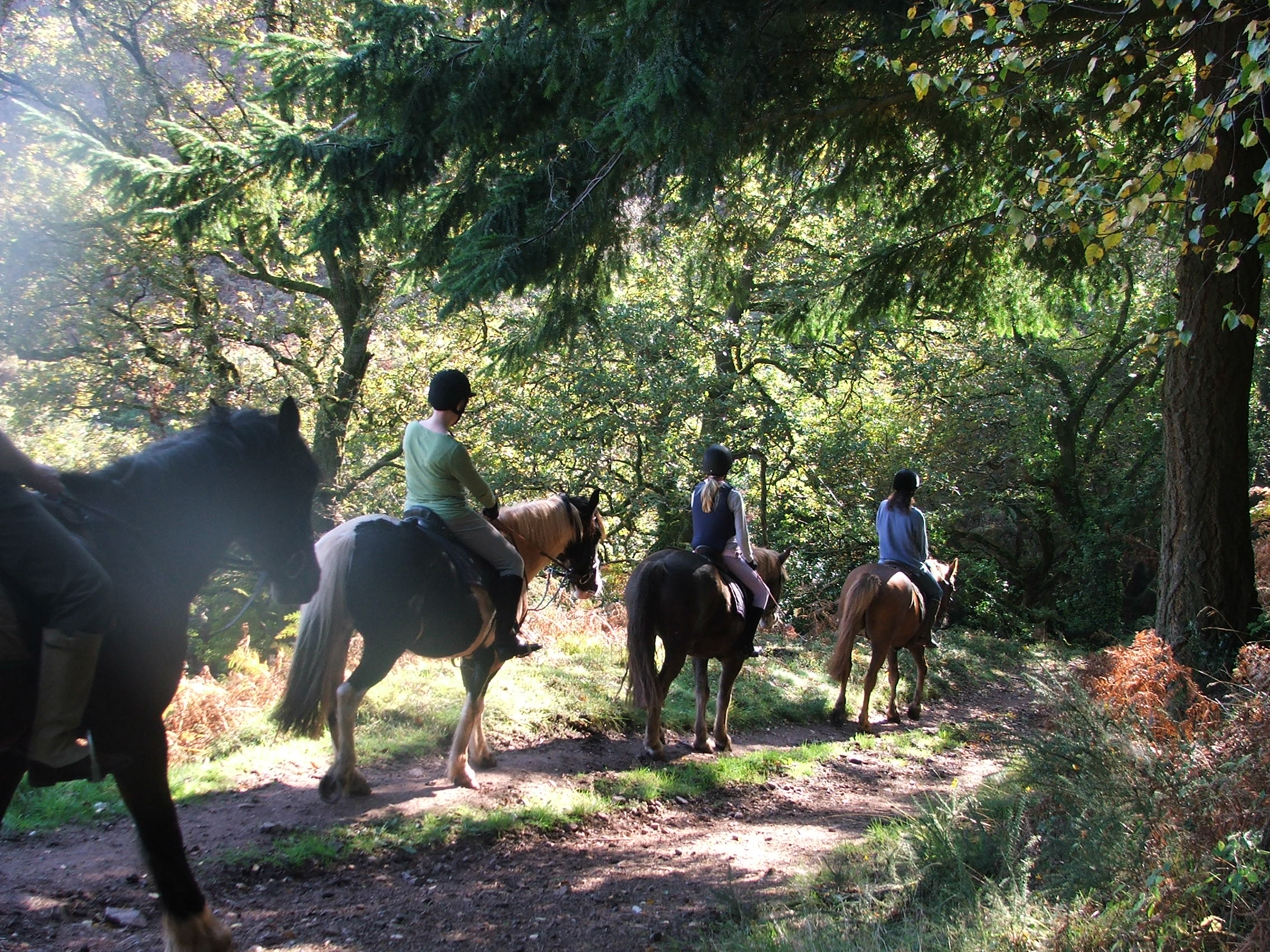 Burrowhayes Farm Caravan & Camping Site