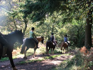 Burrowhayes Farm Caravan & Camping Site