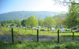 Campingwiese mit Zaun, Zelt und mehreren Autos, im Hintergrund Bäume und bewaldete Hügel.