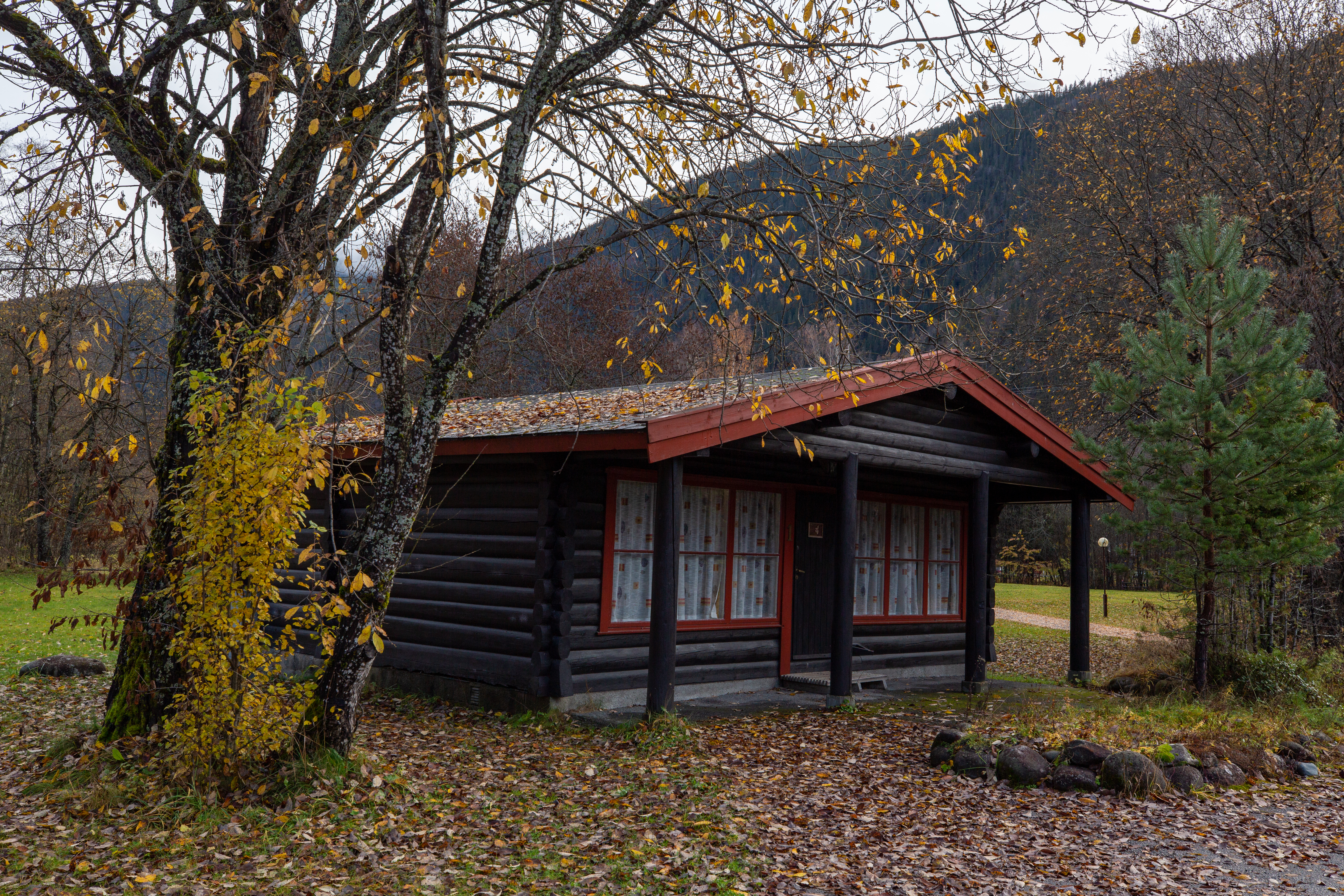 Buøy Camping