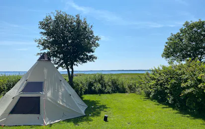 Byaasgaard - Naturecamping & Microfarming