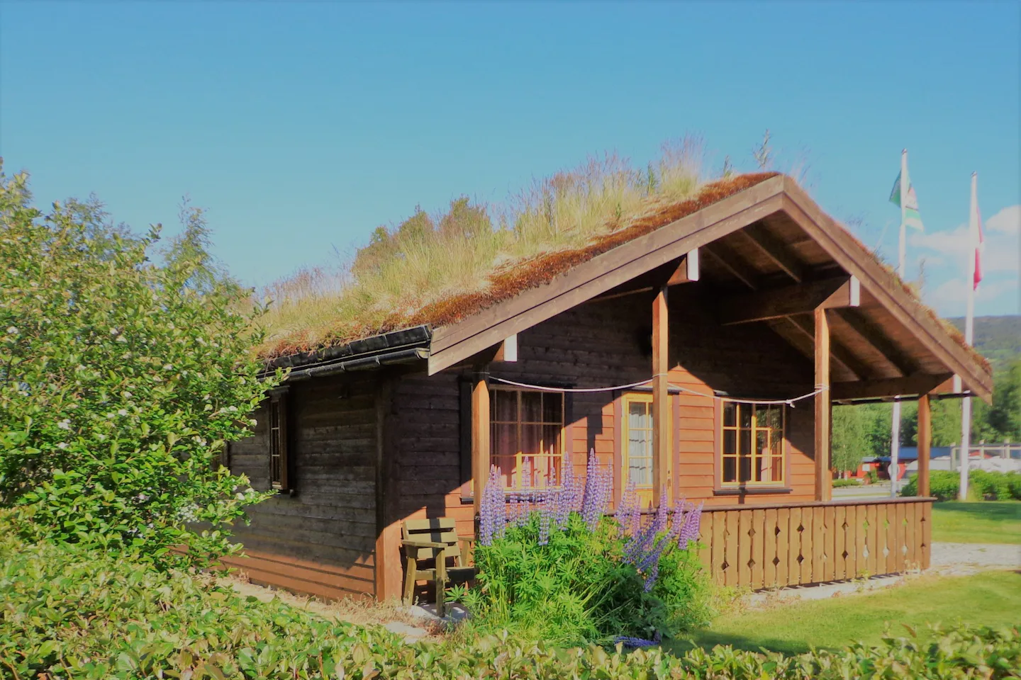 Byrkjelo Camping