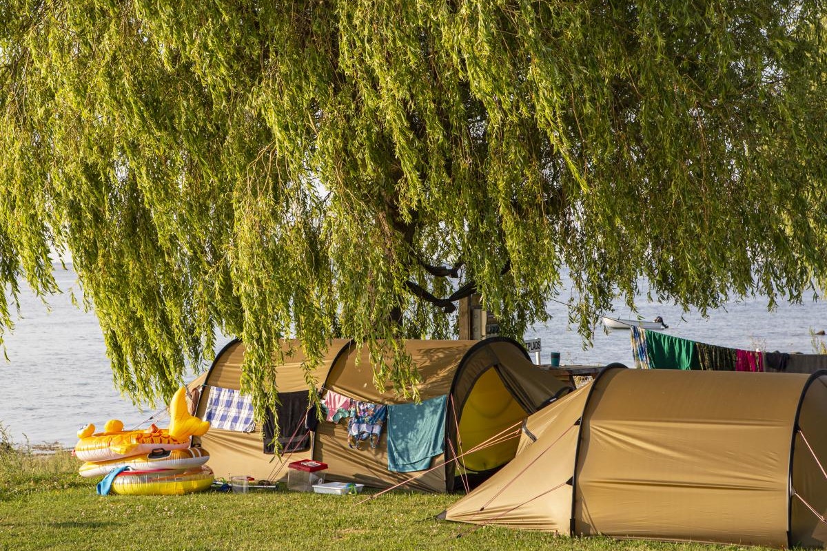 Campingzelte am Seeufer unter weidenartigen Zweigen, daneben Luftmatratzen und Wäscheleine mit bunten Tüchern.