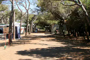 Zeltreihe auf einem Campingplatz im Schatten hoher Bäume, gepflasterter Weg und Stellplätze mit Markisen und Wäscheleinen.