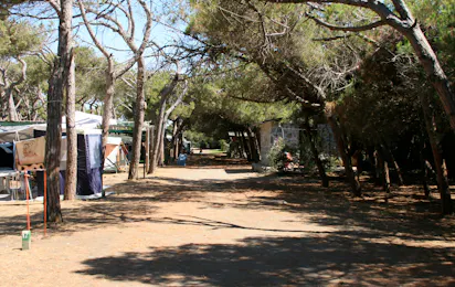 Gitavillage California