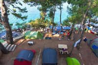 Camp Adriatic - Luftaufnahme auf die Stellplätze zwischen Bäumen mit Blick auf das Meer