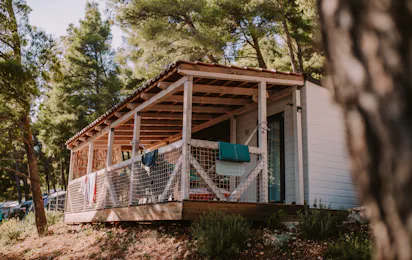 Camp ALOA Bol