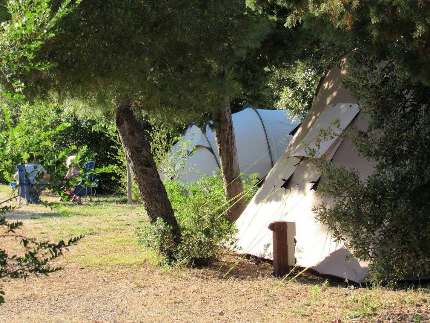 Camp Arboretum