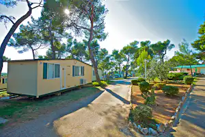 Camp Arena Indije - Mobilheim unter Bäumen an einer Strasse des Campingplatzes