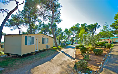 Arena Indije Campsite