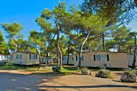 Camp Arena Indije - Mobilheime unter Bäumen auf dem Campingplatz
