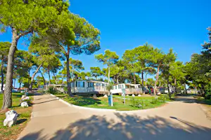 Camp Arena Indije - Strasse des Campingplatzes mit Mobilheimen unter Bäumen an der Strasse