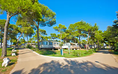 Arena Indije Campsite