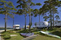 Camp Arena Medulin - Wohnmobile und Windsurf Bretter unter Bäumen
