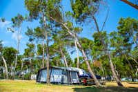 Camp Arena Medulin - Wohnwagen mit Vorzelt unter Bäumen