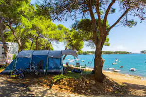 Camp Arena Runke - Zeltplatz zwischen den Bäumen mit Zugang zum Meer auf dem Campingplatz