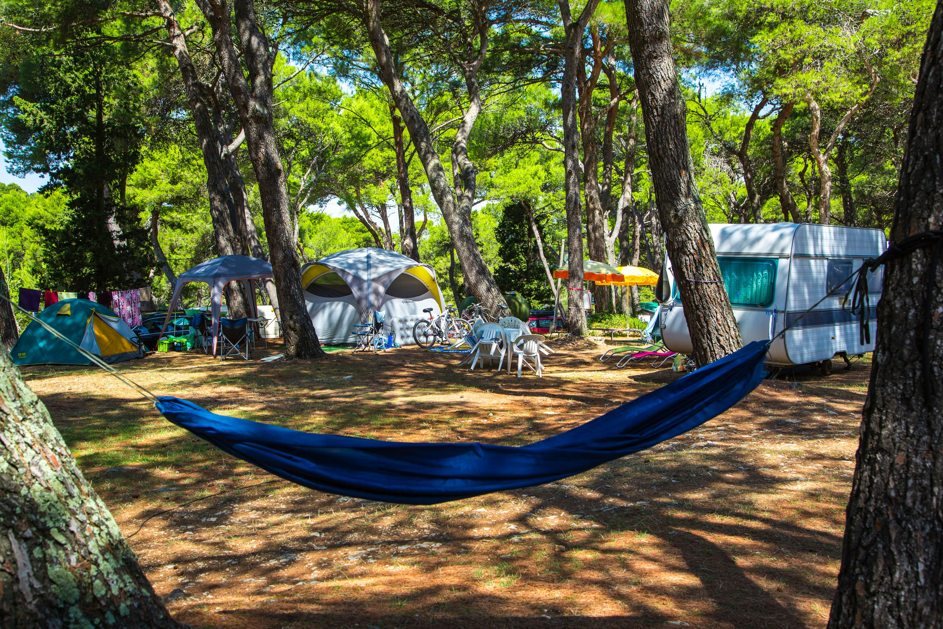 Camp Arena Runke - halbschattige Standplätze unter Pinien, im Vordergrund eine Hängematte