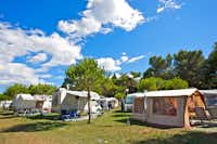 Camp Arena Stoja - Wohnwagen und Wohnmobile auf den Stellplätzen des Campingplatzes