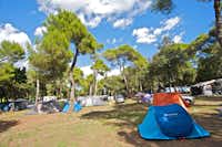 Camp Arena Stoja -  Campingbereich für Zelte und Wohnwagen im Schatten der Bäume