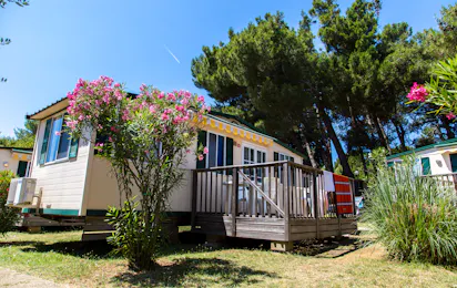 Arena Stupice Campsite