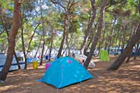 Camp Arena Stupice - Wohnwagen- und Zeltstellplatz zwischen Bäumen