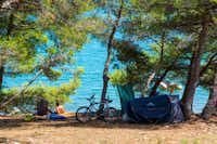 Camp Arena Tašalera - Blick auf die Zeltplätze direkt am Wasser auf dem Campingplatz