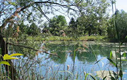 Camp Au Clair Ruisseau