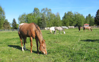 Camp Au Clair Ruisseau