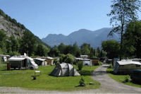Camp Au -  Wohnwagen- und Zeltstellplatz zwischen Bäumen mit den Alpen im Hintergrund