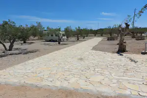 Steinweg auf einem Campingplatz mit Olivenbäumen, Kiesflächen und einem geparkten Auto am Rand.